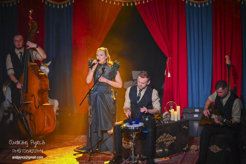 Koncert Anity Lipnickiej