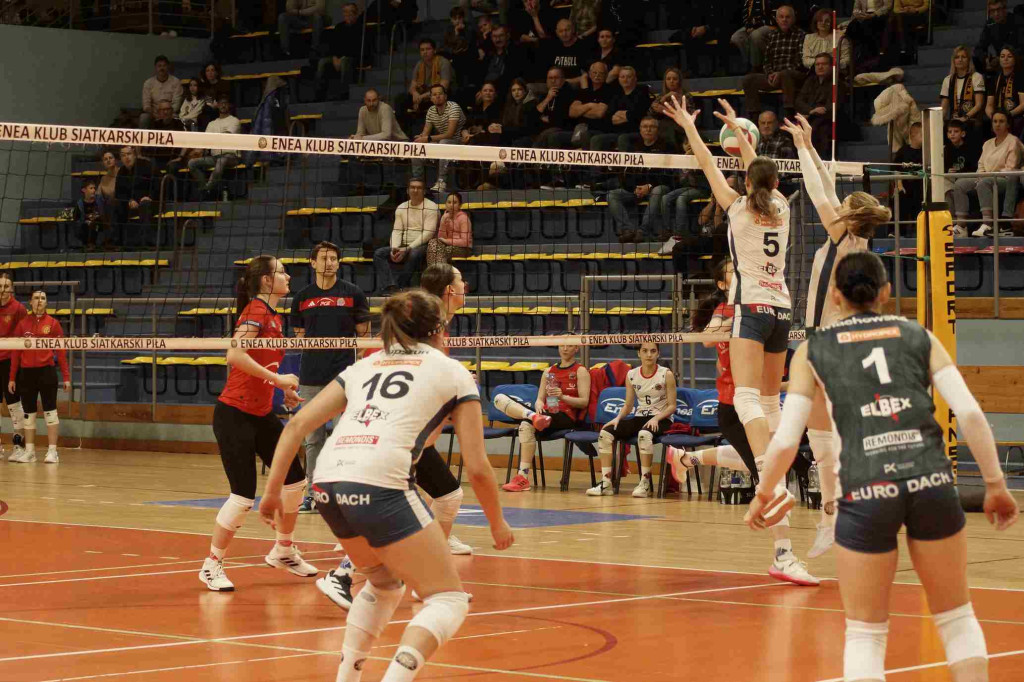 Enea KS Piła vs LTS Legionovia Legionowo