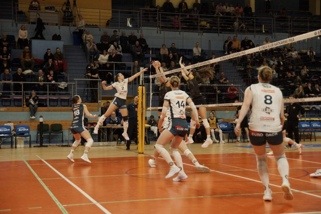 Enea KS Piła vs KSG Warszawa