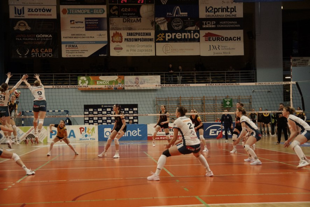 Enea KS Piła vs KSG Warszawa