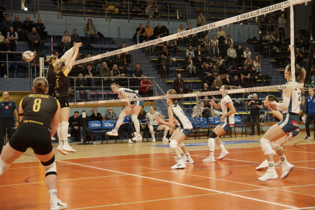 Enea KS Piła vs KSG Warszawa