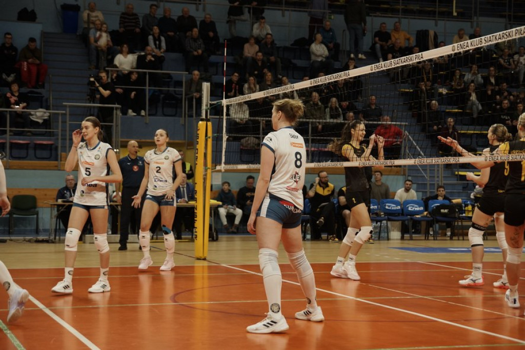 Enea KS Piła vs KSG Warszawa