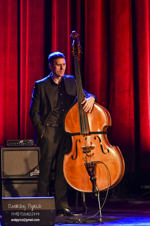 Koncert Macieja Maleńczuka