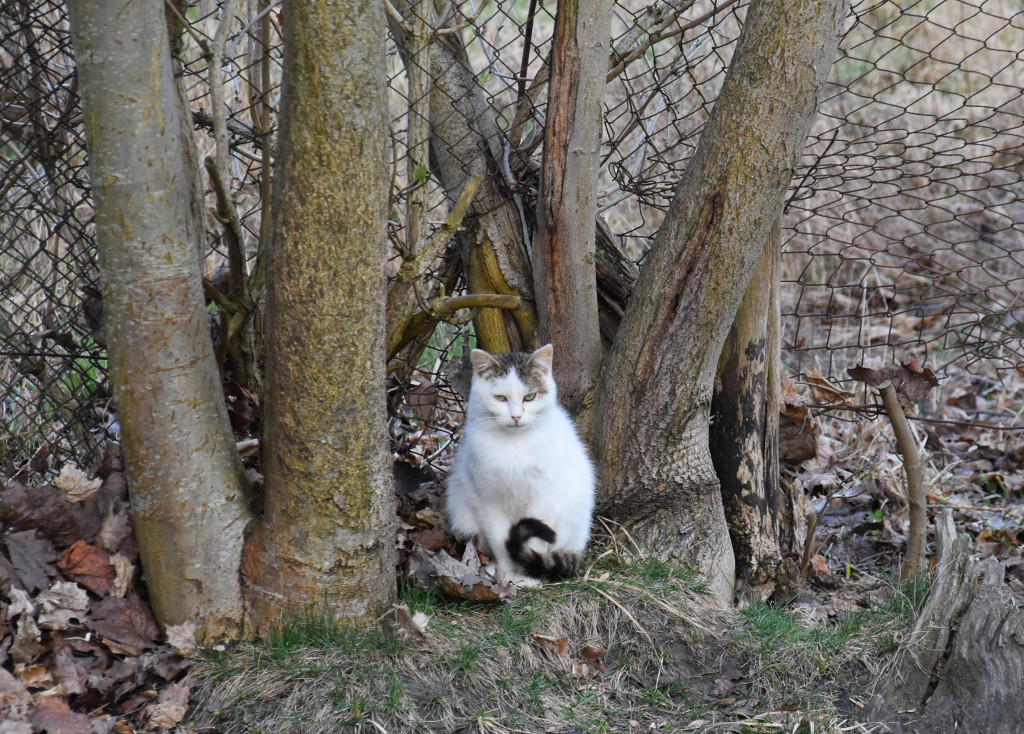 Spotkanie wielkanocne w Podaninie