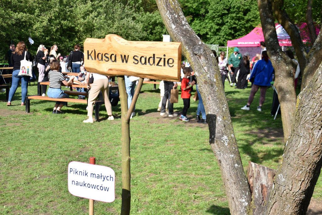 Piknik naukowy w Dobrej Szkole w Ratajach