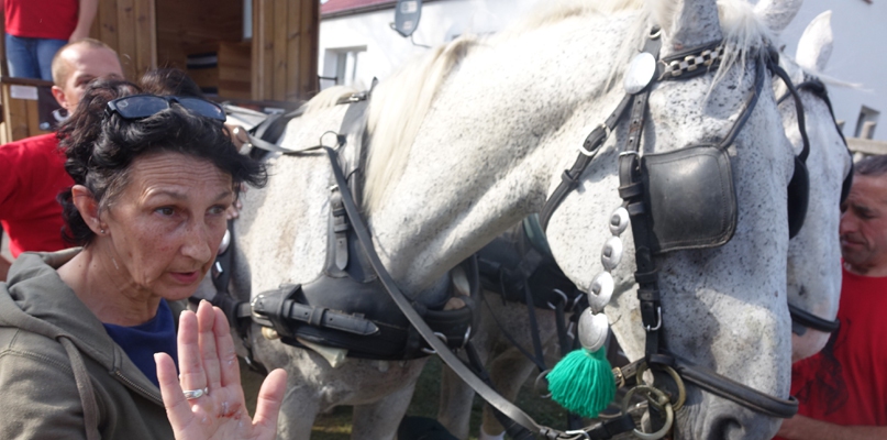 Poranione konie szły w "Karawanie miłosierdzia" do Skrz
