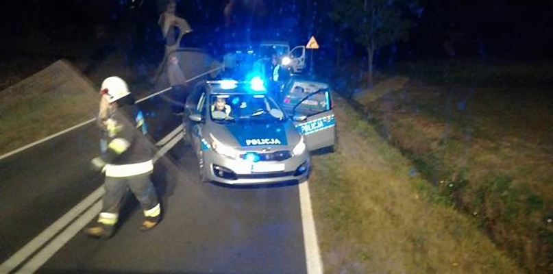 Samochód potrącił sarnę, potem uderzył w drzewo i zjech