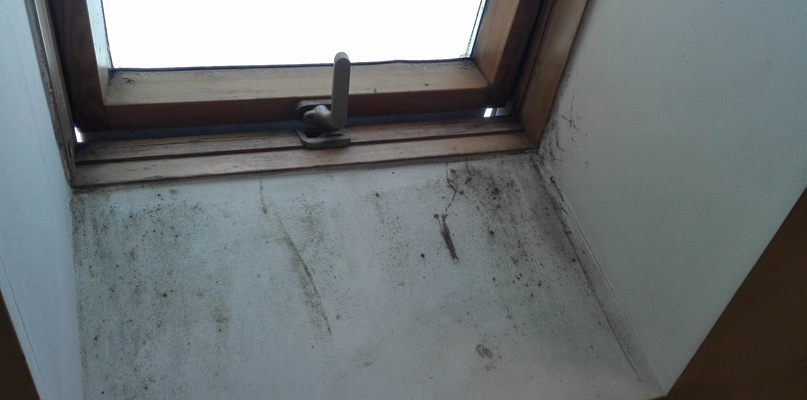 Szkoła Policji w Pile: zapleśniałe materace, grzyb i pl