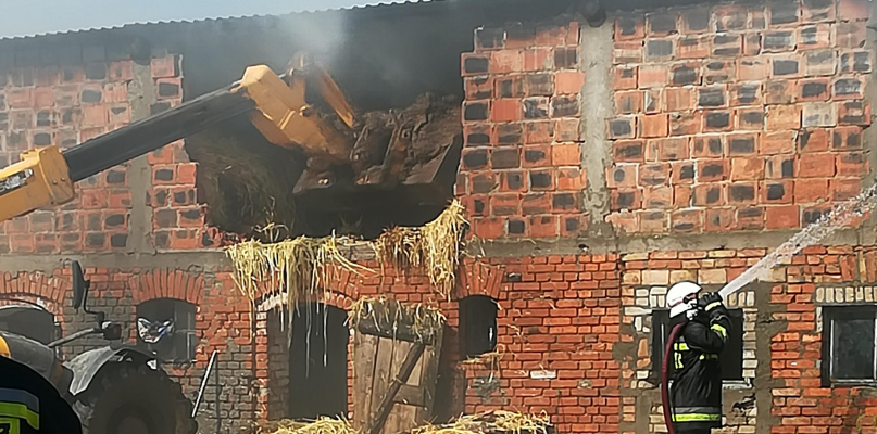 Ponad siedem godzin gaszono pożar chlewni w Izdebkach