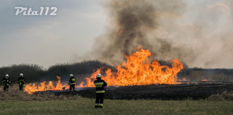 fot. Piła112