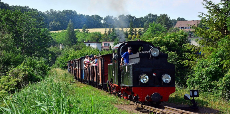 Ruszyły przejazdy wąskotorówką. Sprawdź rozkład jazdy