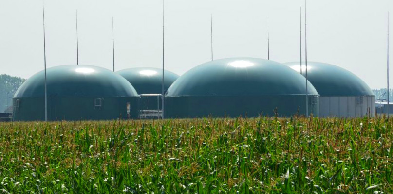 Elektrociepłownia na biogaz Polskiej Grupy Biogazowej w Starym Korninie (woj. podlaskie)