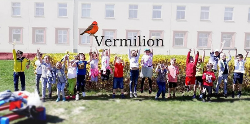 fot. Vermilion