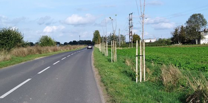 fot. UMiG Łobżenica