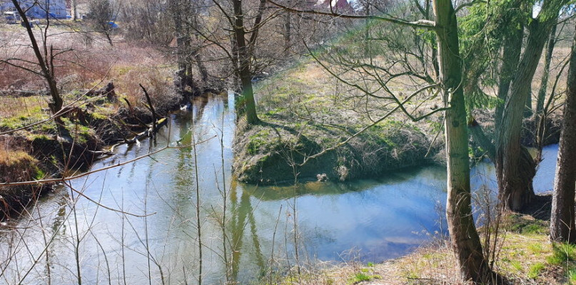 Wyrzysk: moja mała ojczyzna