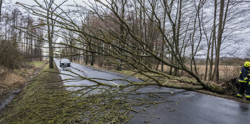fot. Sebastian M., OSP Białośliwie