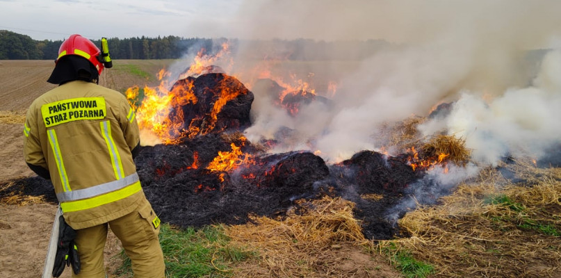 st. sekc. Mikołaj Heiman
