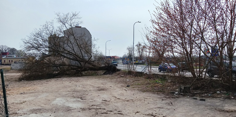 Piła: samo centrum miasta. Czyż to nie jest smutny widok?