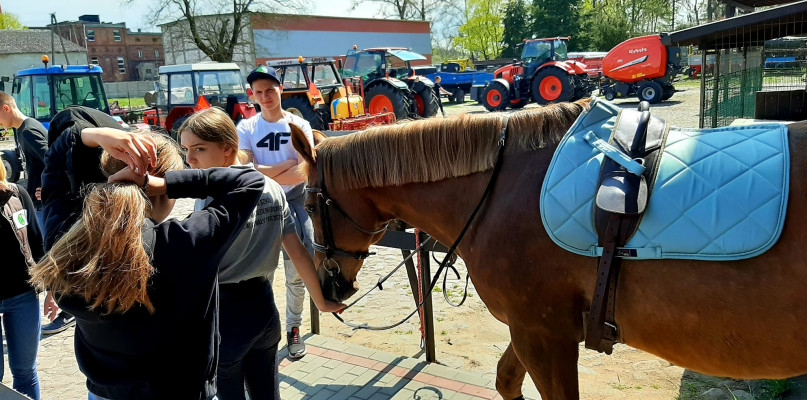 fot. Paweł Michał Owsianny