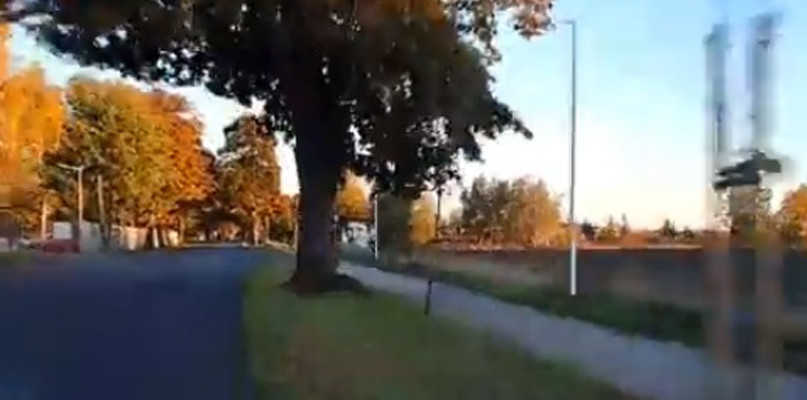 Stopklatka z filmu - ułamek sekundy później 34-latek uderzy w to drzewo 