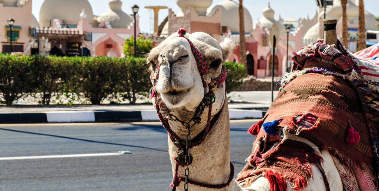 5 najbardziej urokliwych miejsc na wakacje w Sharm el Sheikh