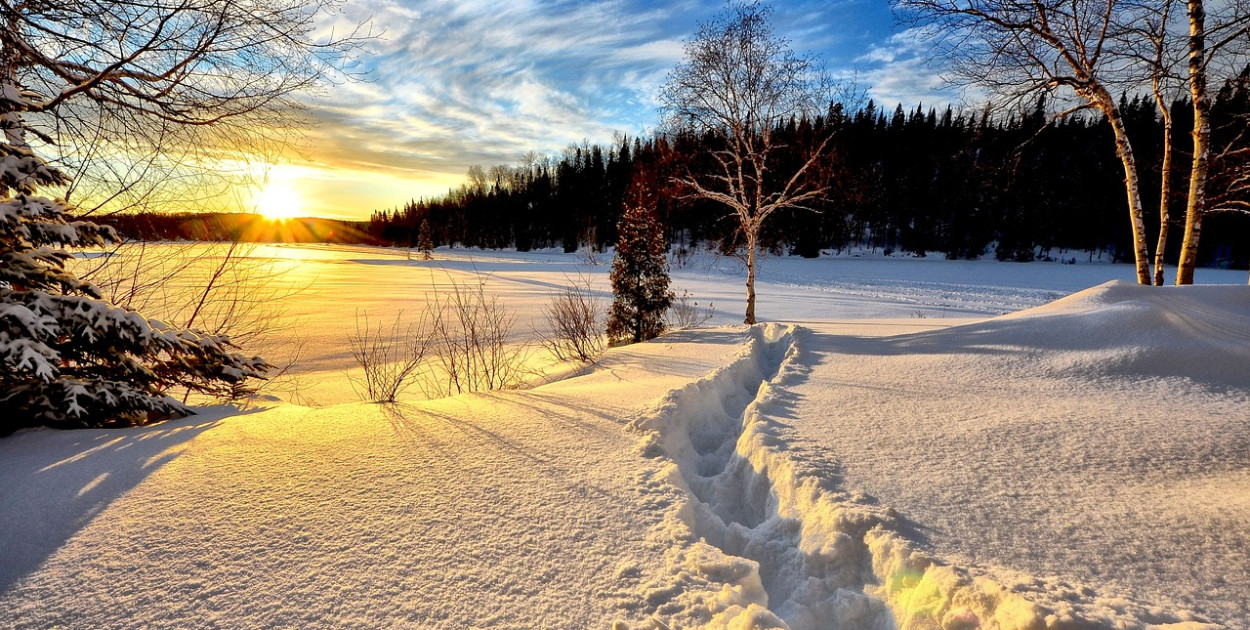 Zdjęcie ilustracycjne. Fot.pixabay.com