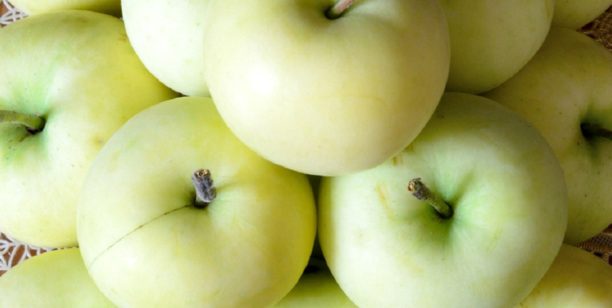 Papierówki: smak dziecięcej niewinności