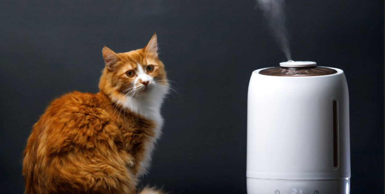 Nawilżacz ewaporacyjny - dlaczego warto mieć go w swoim domu? 