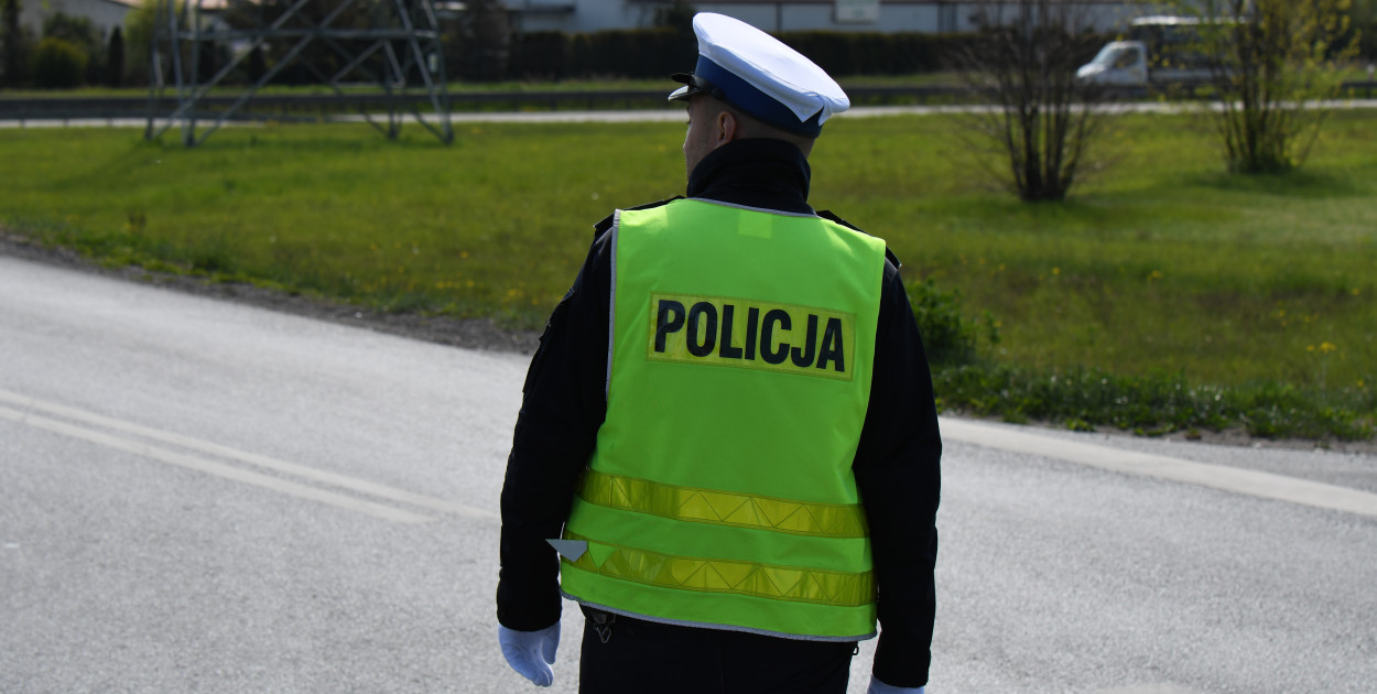 Fot. Mirosław Amonowicz / siecportali.pl