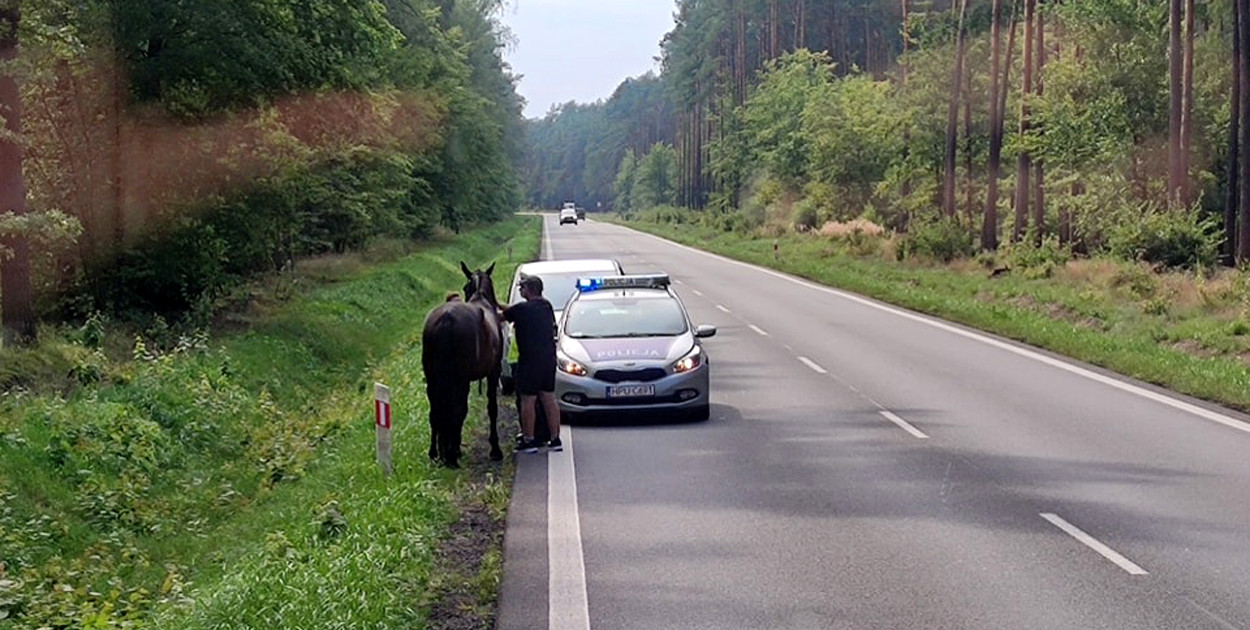 fot. OSP Jastrowie