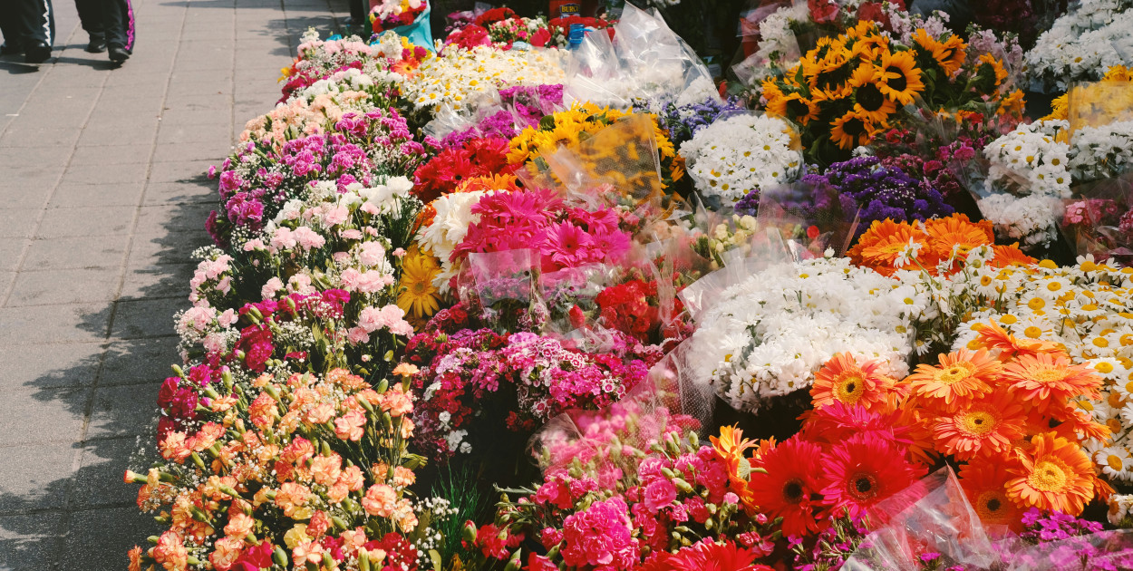 fot. unsplash