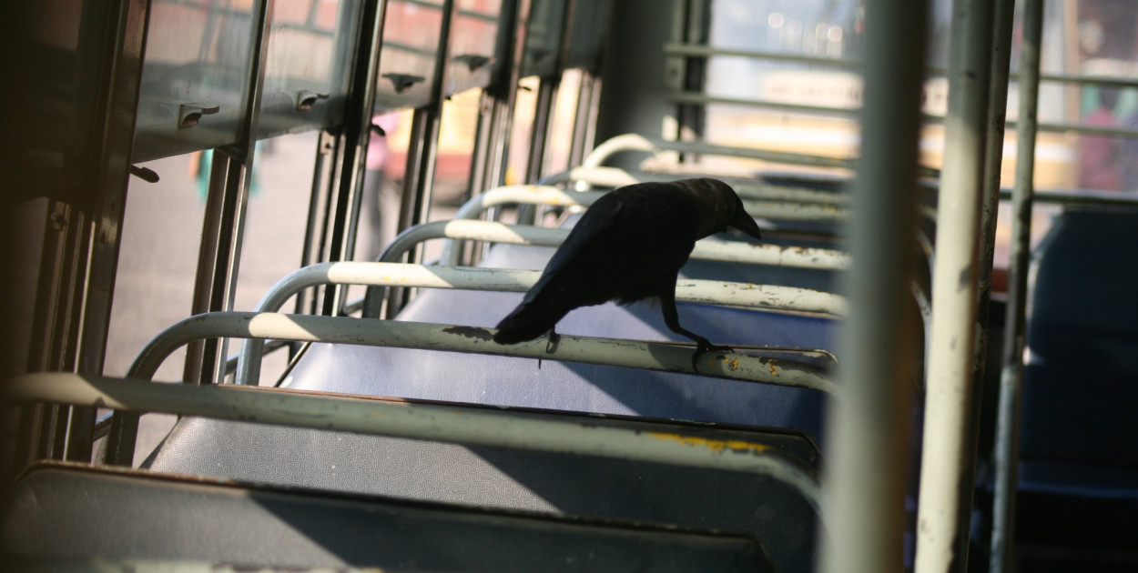 Autobus i rathy w Mahabalipuram
