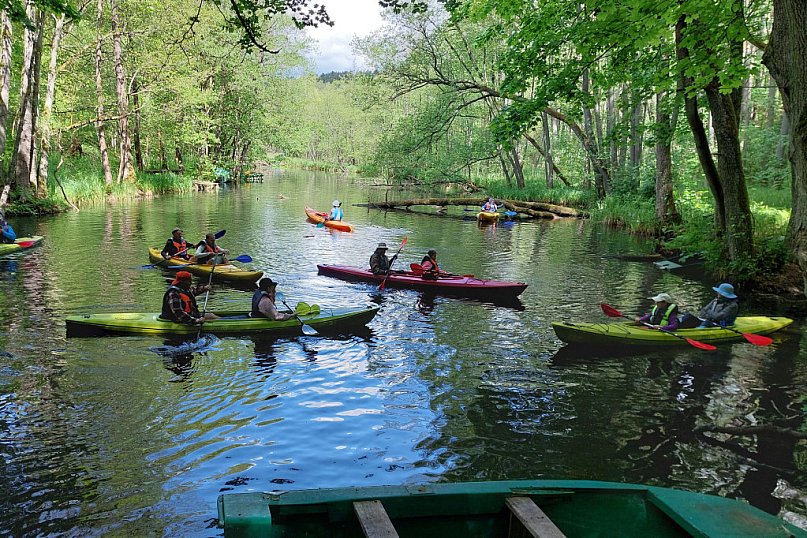Spływ kajakowy Wiosna Beaty