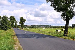 Sianokosy i żniwa na białośliwskich łąkach-1924