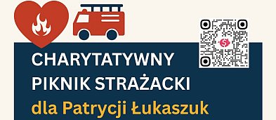 Strażacki Piknik Charytatywny-3559