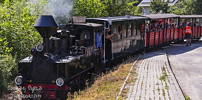 Dzisiaj ruszają kursy wąskotorówki-40082