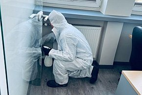 Grzyby jako bioindykatory - co obecność pleśni mówi o.. - 40568
