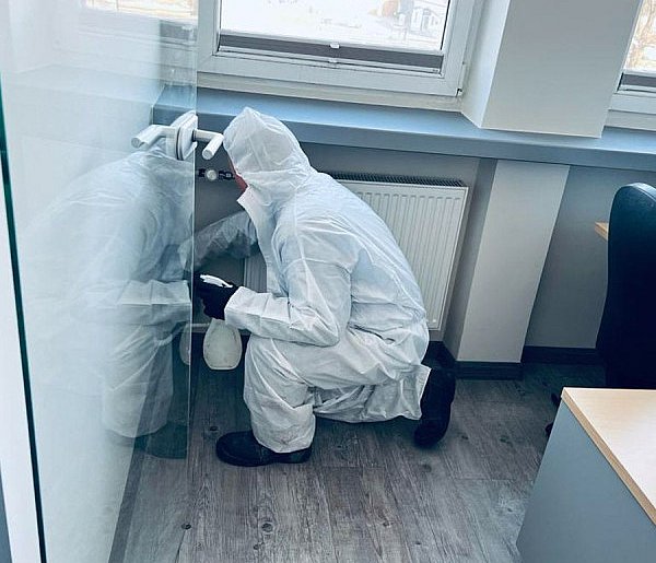 Grzyby jako bioindykatory - co obecność pleśni mówi o.. - 40568