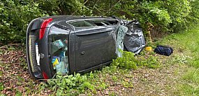 Auto zderzyło się żubrem