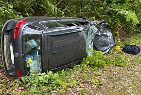 Auto zderzyło się żubrem-40834