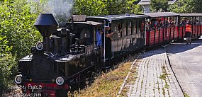 W ten weekend wszystkie drogi poprowadzą do Białośliwia
