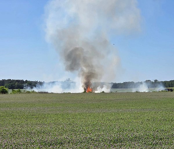 Paliły się nieużytki. Sprzymierzeńcem ognia był wiatr-41123