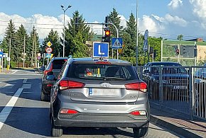 Egzamin na prawo jazdy będzie inny. Od 1 lipca nowe zasady-41287