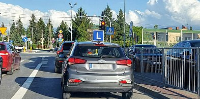 Egzamin na prawo jazdy będzie inny. Od 1 lipca nowe zasady-41287
