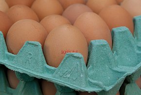 Salmonella na jajach znanej marki. Nie jedz, jeśli masz je w lodówce!-41459