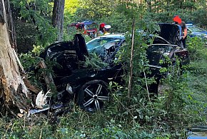 Roztrzaskał auto na drzewie-41530