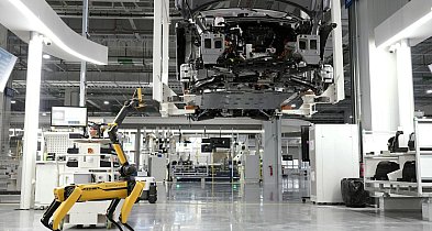 Najczęstsze błędy we wdrażaniu robotów współpracujących. Jak ich uniknąć?-41747