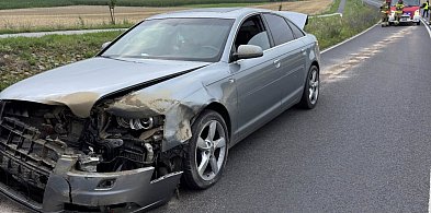 Auto zderzyło się ze zwierzęciem-42026