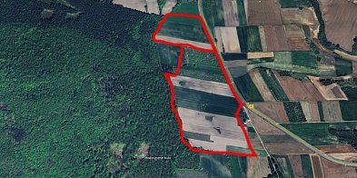 Będzie plan dla obszaru przy kompleksie Dębowej Góry-42112