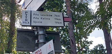 Oddział PTTK w Pile odnawia czerwony szlak dzięki dofinansowaniu z powiatu-42523